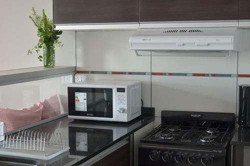 Apartamento Monoambiente La Pitota