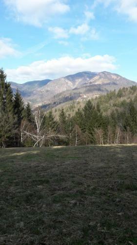 Holiday Home Na Vasi