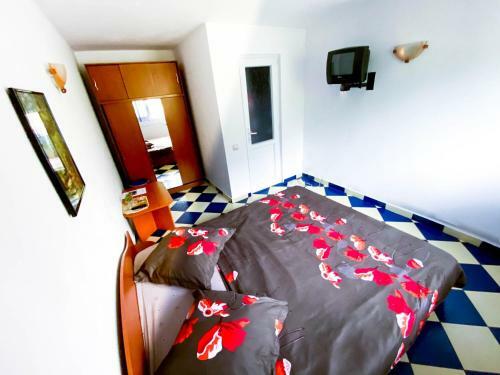 Hostal Pensiunea Ramona