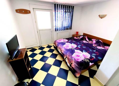 Hostal Pensiunea Ramona