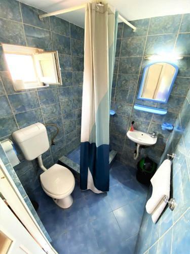 Hostal Pensiunea Ramona