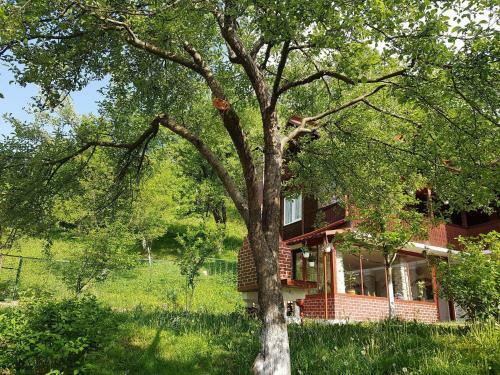 Villa Casa Colt De Rai