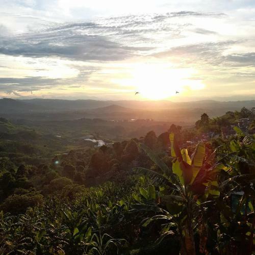 Agroturismo Alojamiento Rural Caf� Yarumo