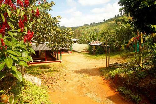 Agroturismo Alojamiento Rural Caf� Yarumo