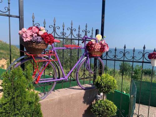 Apartamento Flower Breeze