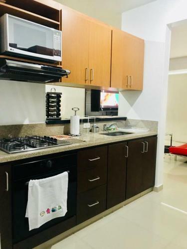 Apartamento Amoblado Con Excelente Ubicaci�n