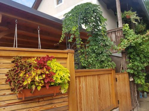Holiday House Kolpa