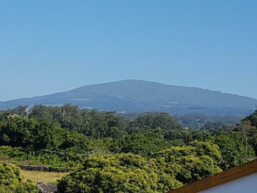 Bed & Breakfast Casa Marques
