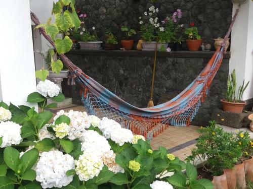 Apartamento Quintal D'angra