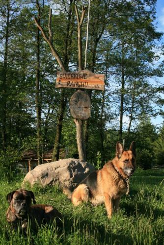 Agroturismo ?wierkowe Rancho