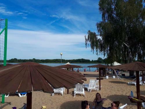 Apartament Brzoza Bydgoska