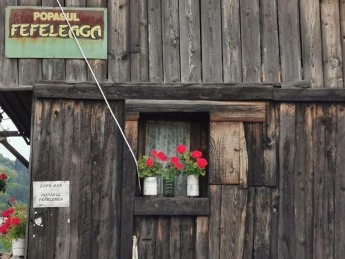 Popas Fefeleaga-camping
