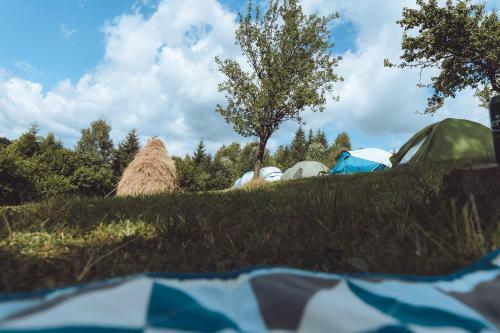 Popas Fefeleaga-camping