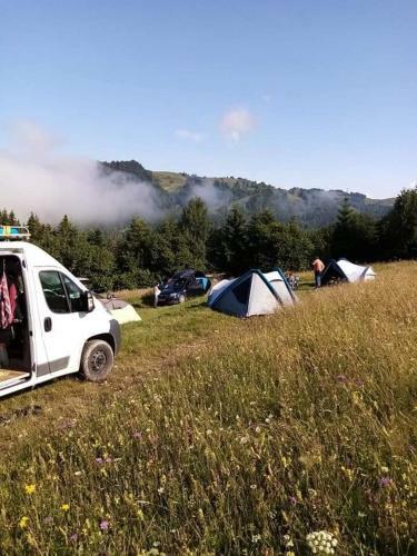 Popas Fefeleaga-camping