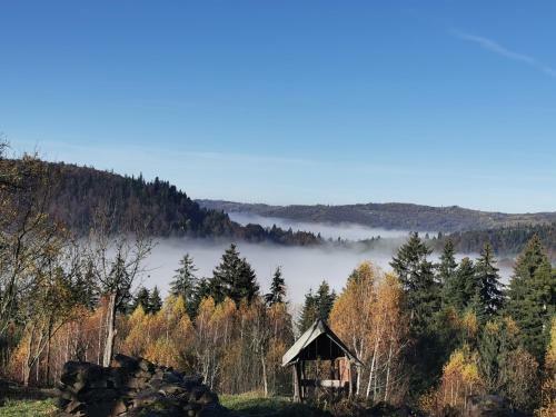 Popas Fefeleaga-camping