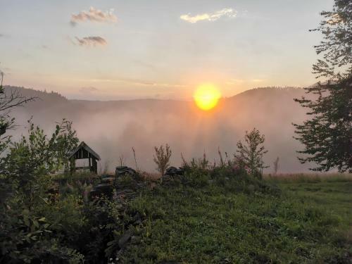 Popas Fefeleaga-camping