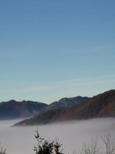 Popas Fefeleaga-camping