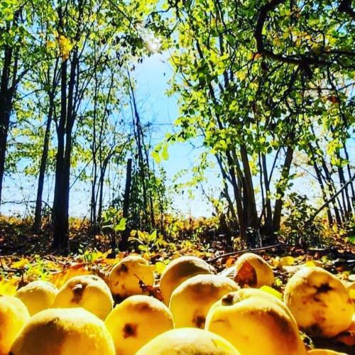 Apartamento Odmor Na Selu Babaji?
