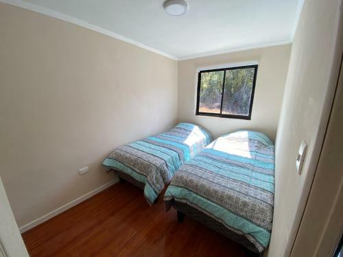 Apartamento Departamento Full Amoblado En Constituci�n