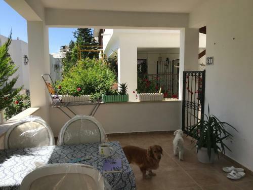 Hostal Do?a Manzaral? M�stakil Ev