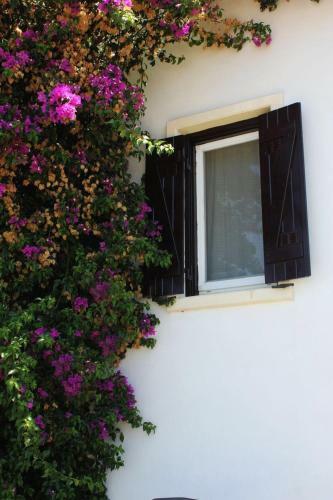 Bodrum G�ndo?an Villa