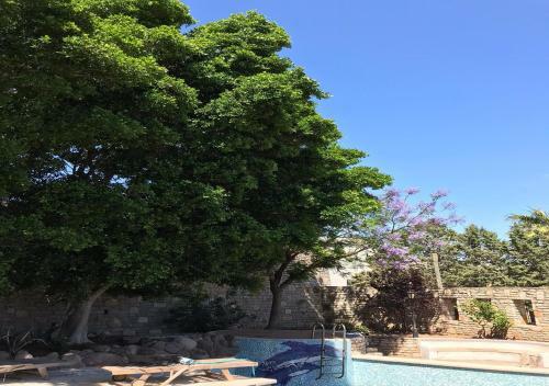 Comfortable House With Private Pool And Stone Yard In Bodrum