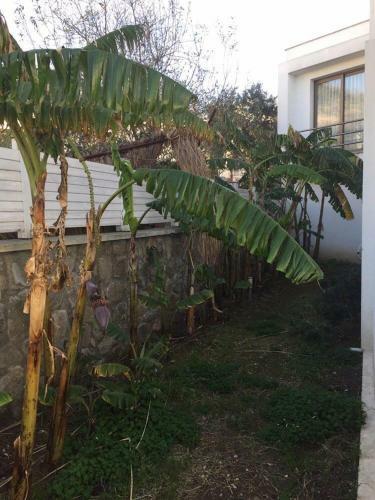Els Villa Yal?kavak Bodrum