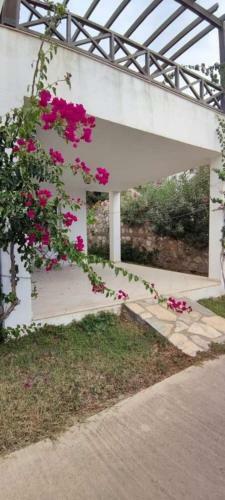 Villa Caram