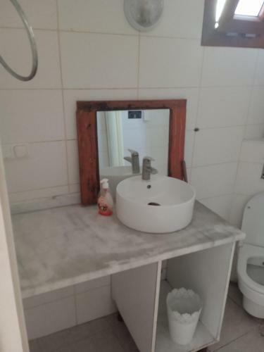 Robin Hotel