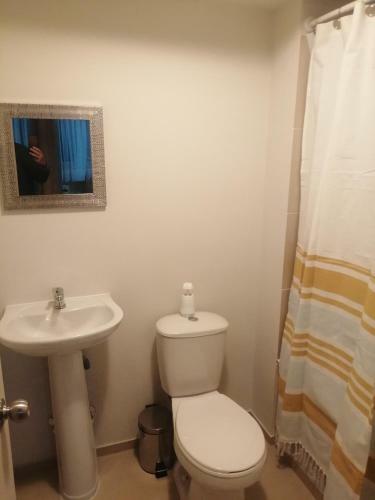 Apartamento Departamentos Amoblados - Santa Sofia.