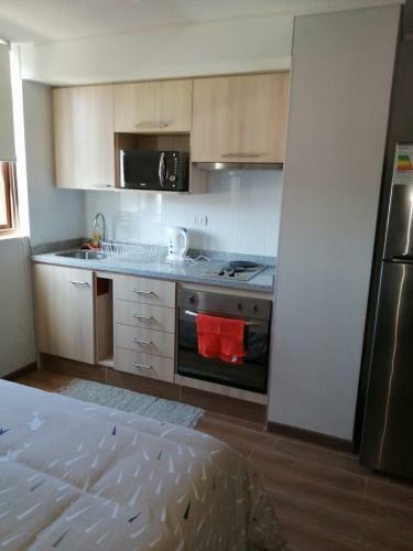 Apartamento Departamento Un Ambiente Centro De Concepci�n