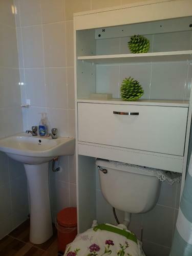 Habitacion En Departamento Cerca Del Centro Y Mall