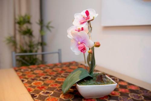 Apartamento C�lido Departamento En Concepci�n