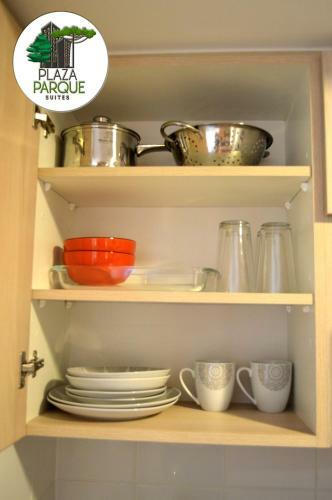 Apartamento Plaza Parque Suites 1009