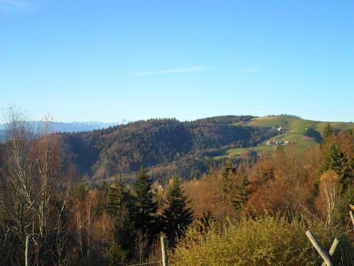 Holiday Home Forest Peace, Lavrovec