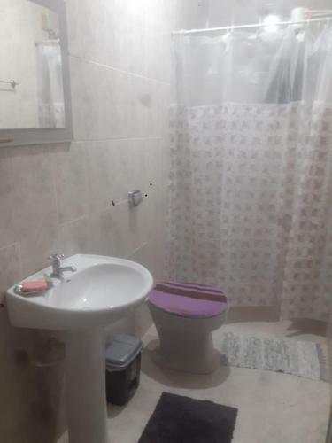 Apartamento Quarto Com Terra�o E Cozinha