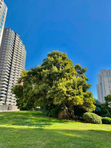 Apartamento Dunas De Montemar Concon