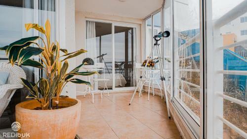 Apartamento Acogedor Depto Frente A Playa Lilenes