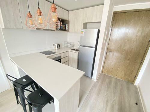 Apartamento Acogedor Depto 1d-1b-parking En Conc�n