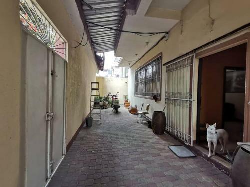 Cerca Del Terminal, Apartamento Entero