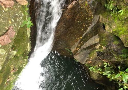 Glamping Para Parejas Con Jacuzzi En Caldas