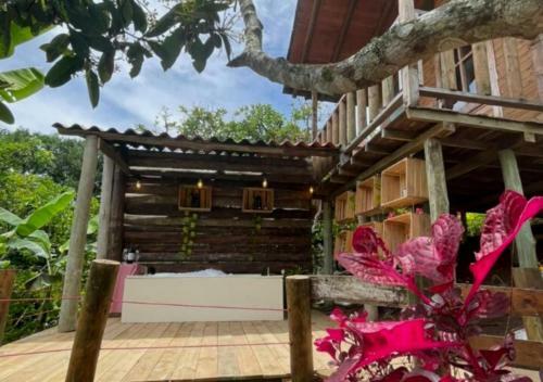 Glamping Con Jacuzzi Para Parejas En Caldas