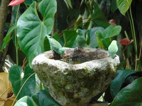 Bed & Breakfast Finca La Colina