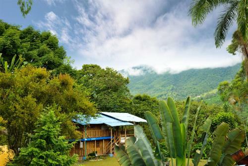 Finca Hotel El Ed�n Del Quind�o