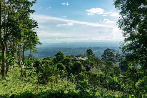 Hotel Cumbre Experiencia En Finca