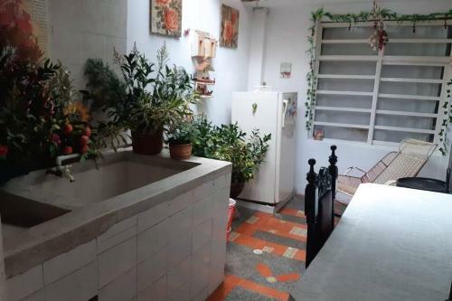 Casa Con Encanto Cafetero