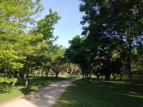 Apartamento Yb� Pit�