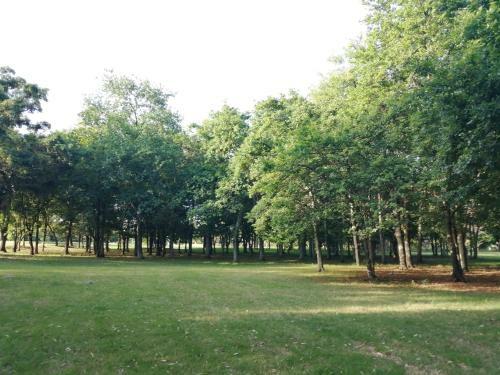 Apartamento Yb� Pit�