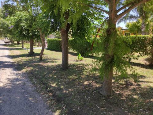 Apartamento Yb� Pit�