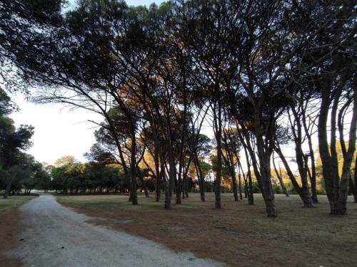 Apartamento Yb� Pit�